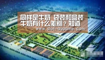 同样是牛奶 袋装和盒装牛奶有什么差别?知道后别乱买了_ag真人(图3) ag真人入口
