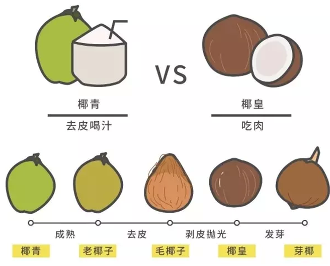 ag真人入口