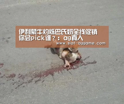 
伊利蒙牛灼烁巴氏奶全线促销 你会pick谁？：ag真人