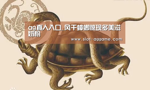 AG真人下载