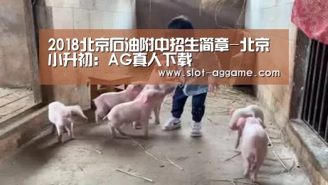 ag真人注册